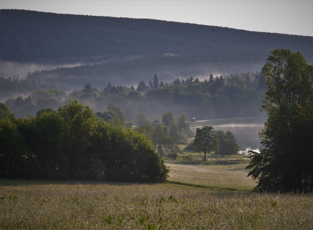 Sonnenaufgang Bockswieser Höhe