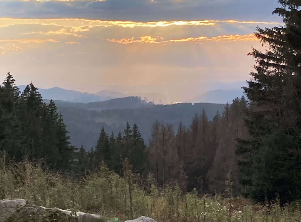 Oderteich Hochharz