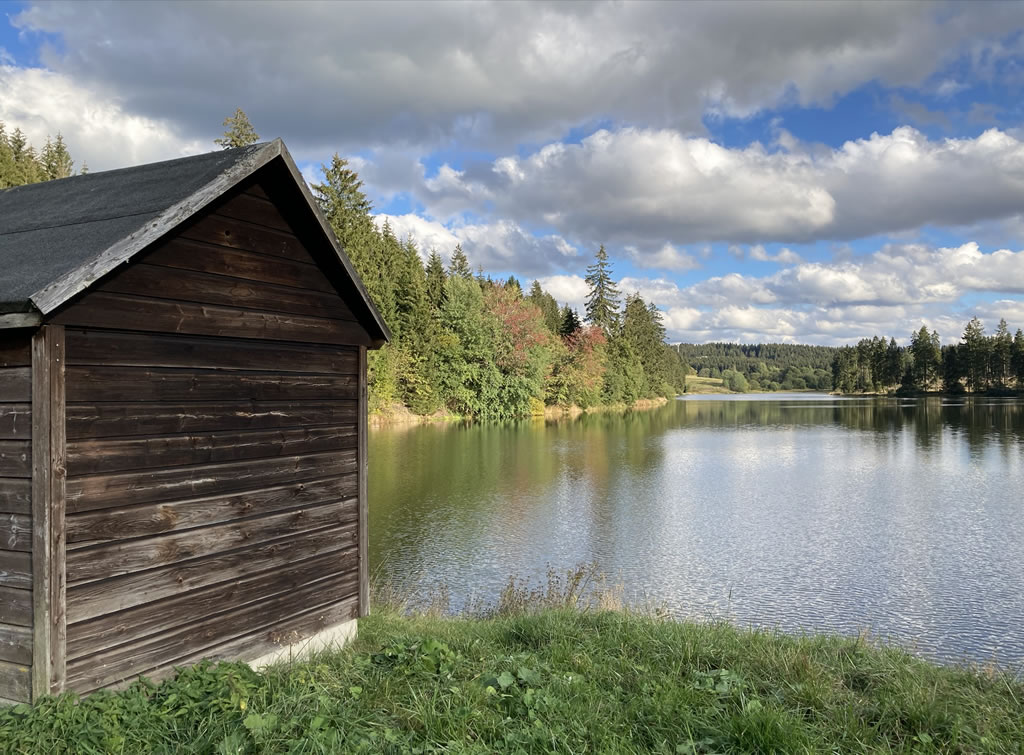 Prinzenteich bei Buntenbock