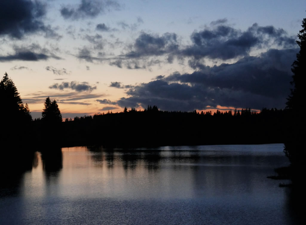 Nacht am Ziegenbergerteich